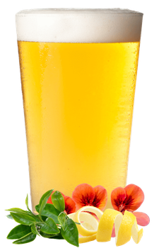 Bright Ale