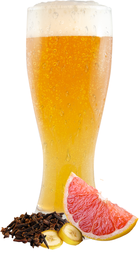 Wheat glass of beer with cloves, banana, and grapefruit at the bottom.