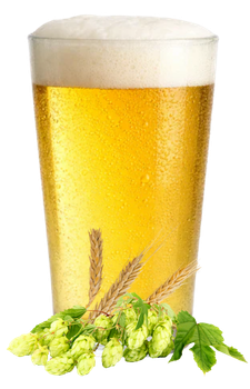 HELLES LAGER