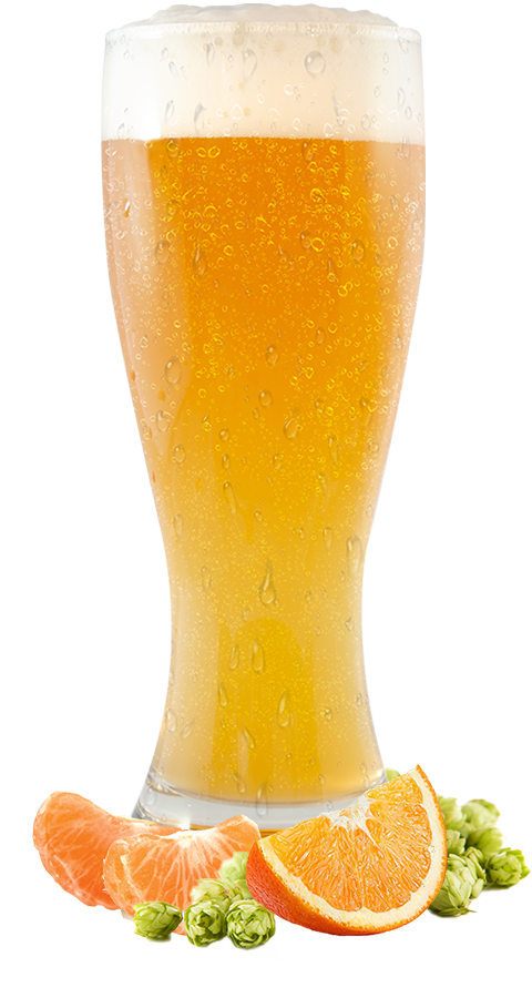 Wheat beer with tangerine, orange, and fresh hops