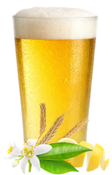 ITALIAN PILSNER