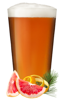 Ode IPA