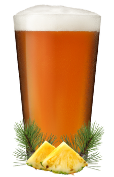 PALE ALE