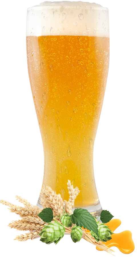 Wheat ale glass with hops, wheat, and honey at the base