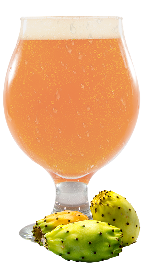 Prickly Pear gose beer in a tulip with fruit at the bottom.