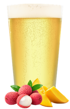 Shiro Japanese Rice Lager