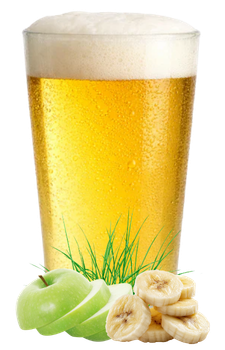 TWO HARBORS AREA FUND KÖLSCH